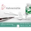 HAHNEMÜHLE Aquarellblock Harmony 24x30cm 10628764 weiss satiniert, 300g 12 Blatt