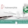 HAHNEMÜHLE Aquarellblock Harmony 30x40cm 10628765 weiss satiniert, 300g 12 Blatt