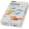 RAINBOW Papier grau/96 A4 88042805 FSC, 80g 500 Blatt
