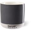 PANTONE Thermotasse 210ml 101020009 cool grey